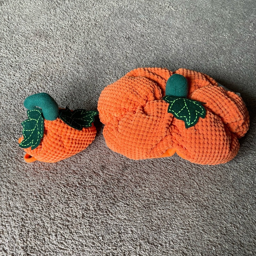 Pumpkin Pet Costume